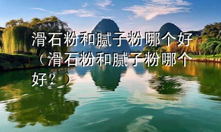 滑石粉和膩?zhàn)臃勰膫€(gè)好（滑石粉和膩?zhàn)臃勰膫€(gè)好？）