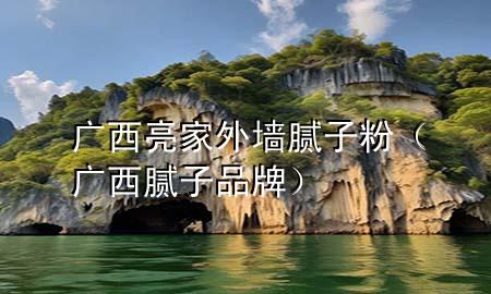 廣西亮家外墻膩子粉（廣西膩子品牌）