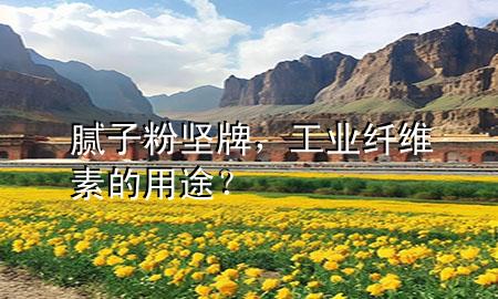 膩子粉 堅牌，工業(yè)纖維素的用途？