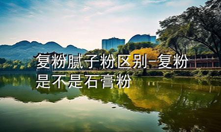 復(fù)粉 膩?zhàn)臃?區(qū)別-復(fù)粉是不是石膏粉