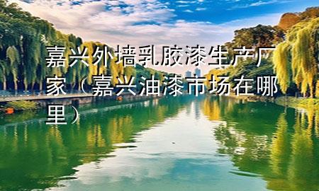 嘉興外墻乳膠漆生產(chǎn)廠家（嘉興油漆市場在哪里）