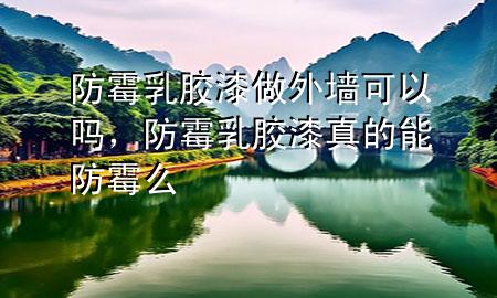 防霉乳膠漆做外墻可以嗎，防霉乳膠漆真的能防霉么