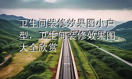 衛(wèi)生間裝修效果圖小戶(hù)型，衛(wèi)生間裝修效果圖大全欣賞