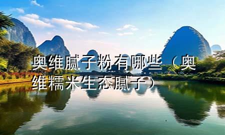 奧維膩子粉有哪些（奧維糯米生態(tài)膩子）
