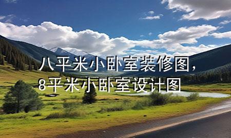 八平米小臥室裝修圖，8平米小臥室設(shè)計圖
