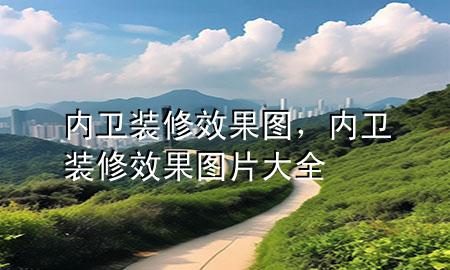 內(nèi)衛(wèi)裝修效果圖，內(nèi)衛(wèi)裝修效果圖片大全
