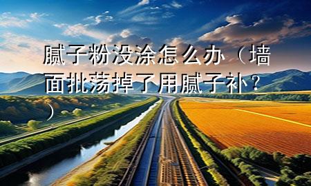 膩?zhàn)臃蹧]涂怎么辦（墻面批蕩掉了用膩?zhàn)友a(bǔ)？）