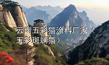 云南五彩貓涂料廠(chǎng)家（五彩斑斕貓）