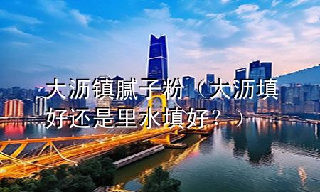 大瀝鎮(zhèn)膩子粉（大瀝填好還是里水填好？）