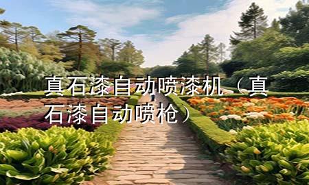 真石漆自動(dòng)噴漆機(jī)（真石漆自動(dòng)噴槍）