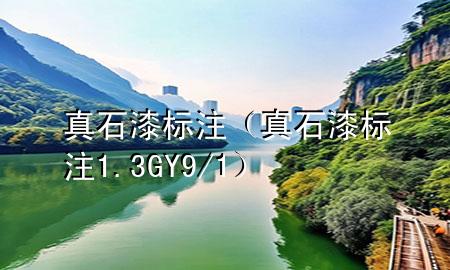真石漆標注（真石漆標注1.3GY9/1）