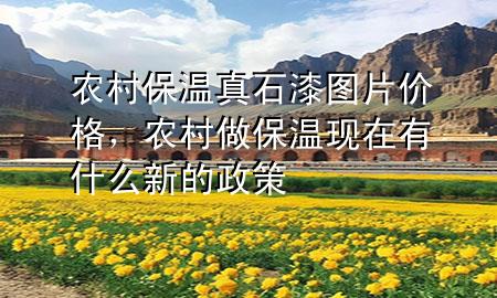 農(nóng)村保溫真石漆圖片價格，農(nóng)村做保溫現(xiàn)在有什么新的政策