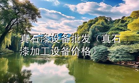 真石漆設(shè)備批發(fā)（真石漆加工設(shè)備價(jià)格）