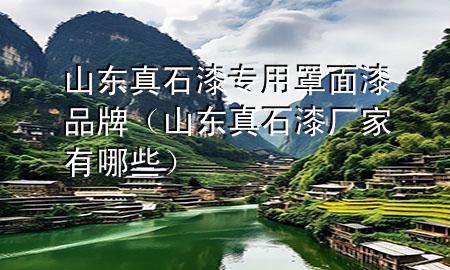 山東真石漆專用罩面漆品牌（山東真石漆廠家有哪些）