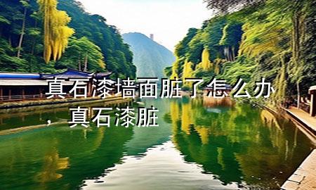真石漆墻面臟了怎么辦，真石漆 臟