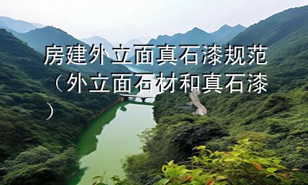 房建外立面真石漆規(guī)范（外立面石材和真石漆）