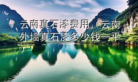 云南真石漆費用（云南外墻真石漆多少錢一平）