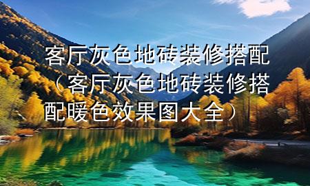 客廳灰色地磚裝修搭配（客廳灰色地磚裝修搭配 暖色效果圖大全）
