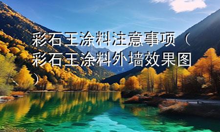 彩石王涂料注意事項（彩石王涂料外墻效果圖）