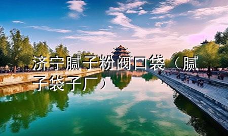 濟寧膩子粉閥口袋（膩子袋子廠）