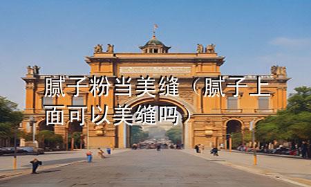 膩子粉當(dāng)美縫（膩子上面可以美縫嗎）