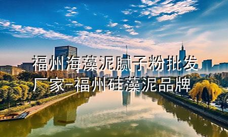 福州海藻泥膩子粉批發(fā)廠家-福州硅藻泥品牌