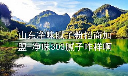 山東凈味膩子粉招商加盟-凈味303膩子咋樣啊