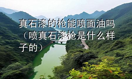 真石漆的槍能噴面油嗎（噴真石漆槍是什么樣子的）