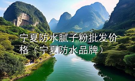 寧夏防水膩?zhàn)臃叟l(fā)價(jià)格（寧夏防水品牌）
