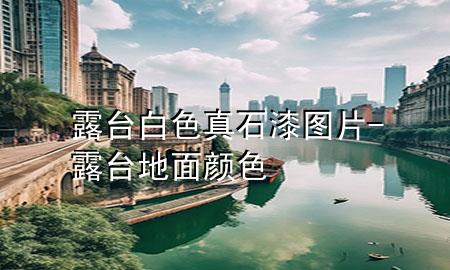 露臺(tái)白色真石漆圖片-露臺(tái)地面顏色