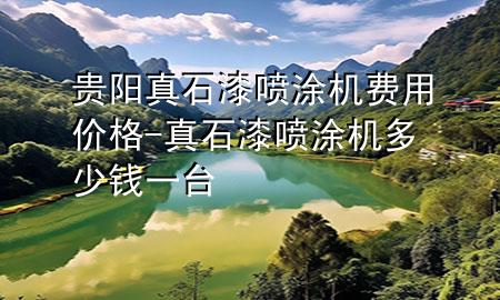 貴陽真石漆噴涂機費用價格-真石漆噴涂機多少錢一臺
