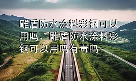 雕盾防水涂料彩鋼可以用嗎，雕盾防水涂料彩鋼可以用嗎有毒嗎