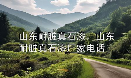 山東耐臟真石漆，山東耐臟真石漆廠家電話