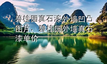 碧桂園真石漆外墻凹凸圖片，碧桂園外墻真石漆單價