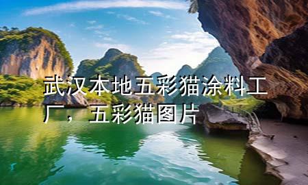 武漢本地五彩貓涂料工廠，五彩貓圖片