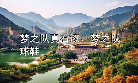 夢之隊真石漆，夢之隊球鞋