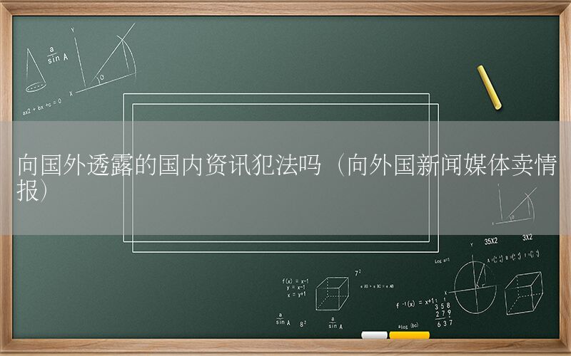 向國外透露的國內(nèi)資訊犯法嗎（向外國新聞媒體賣情報）
