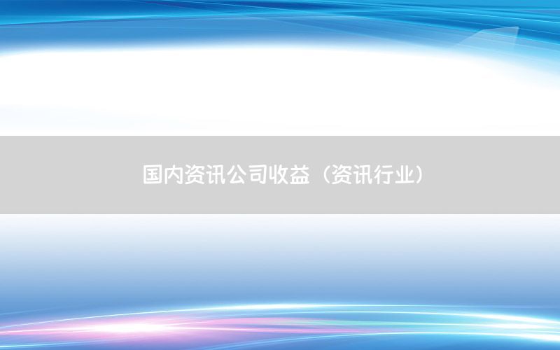 國內(nèi)資訊公司收益（資訊行業(yè)）