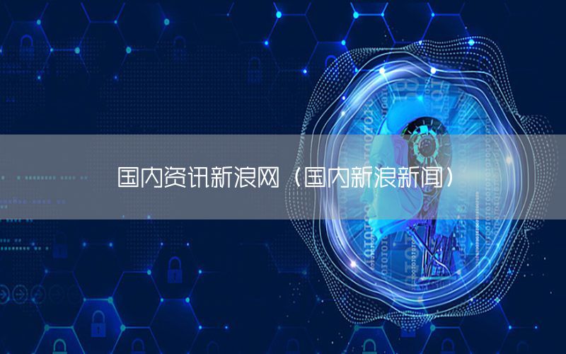 國內(nèi)資訊新浪網(wǎng)（國內(nèi)新浪新聞）