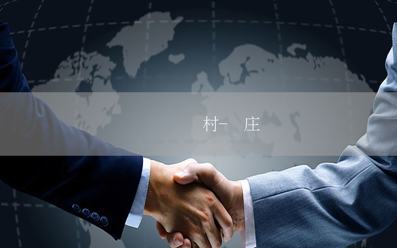 國內資訊聶村-聶莊簡歷