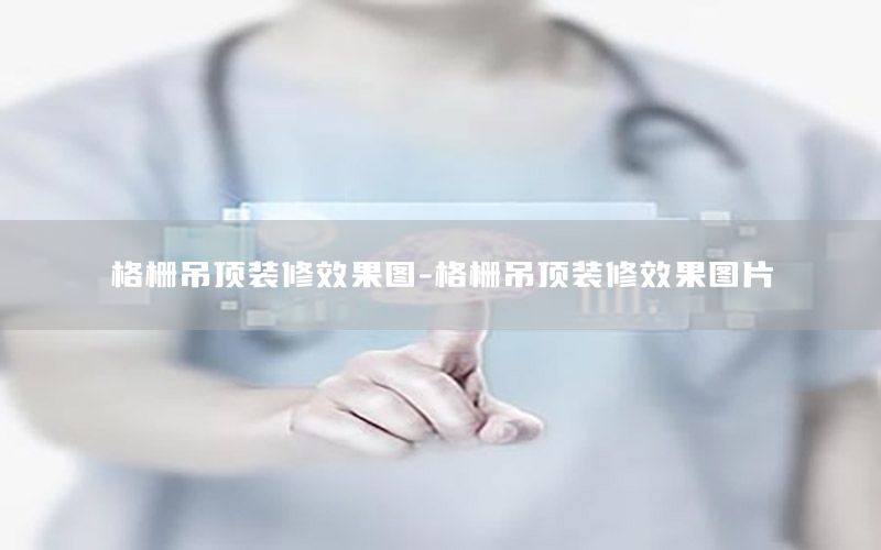 格柵吊頂裝修效果圖-格柵吊頂裝修效果圖片